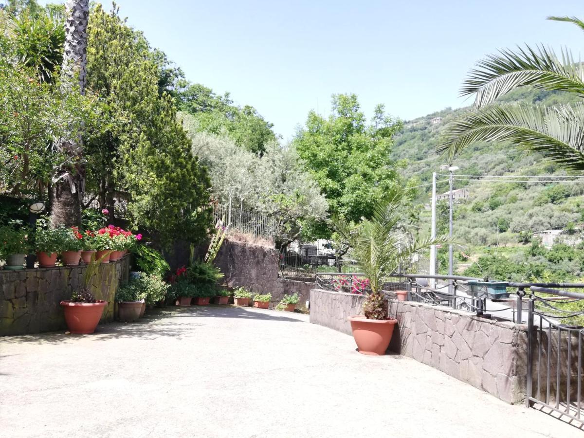 Il Giardino Bed and Breakfast Pimonte Exteriör bild